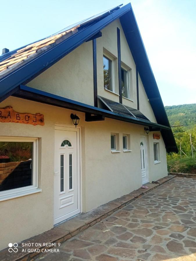 Zavojsko Jezero - Vila Jezero Pirot Zewnętrze zdjęcie
