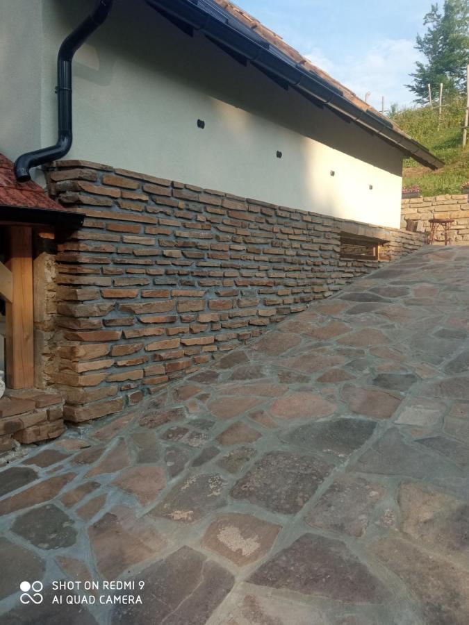 Zavojsko Jezero - Vila Jezero Pirot Zewnętrze zdjęcie