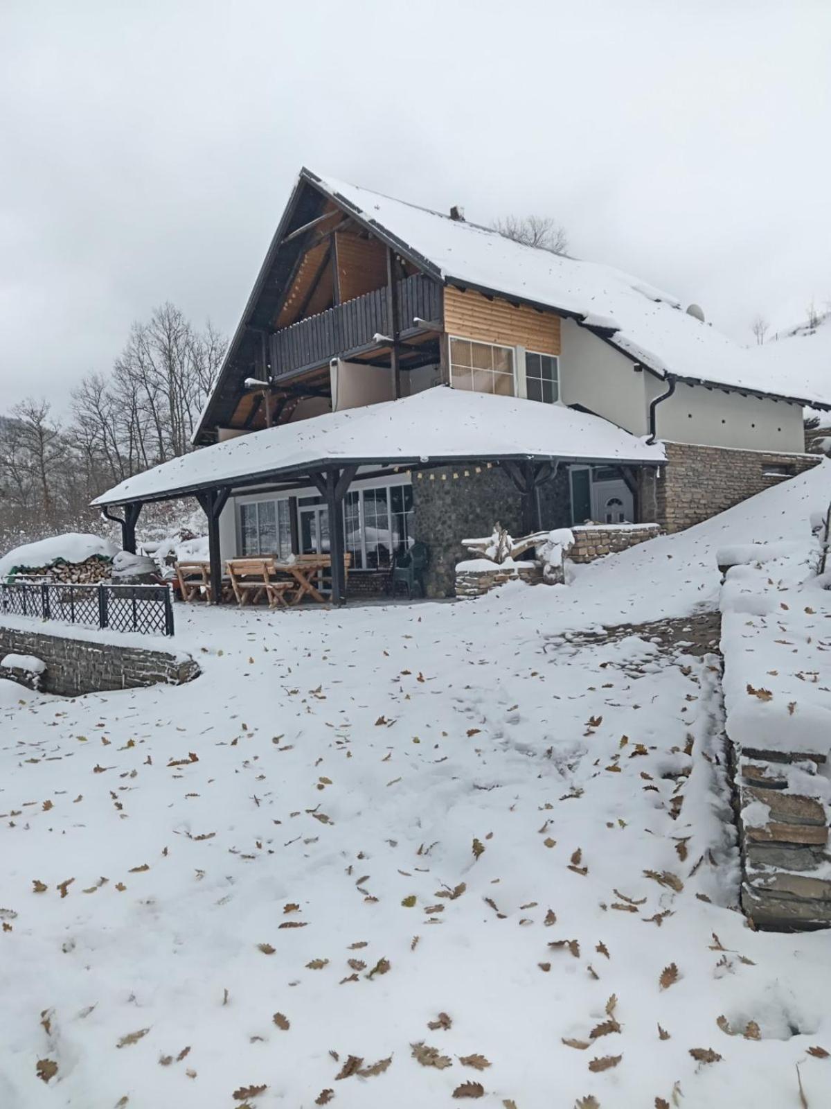 Zavojsko Jezero - Vila Jezero Pirot Zewnętrze zdjęcie